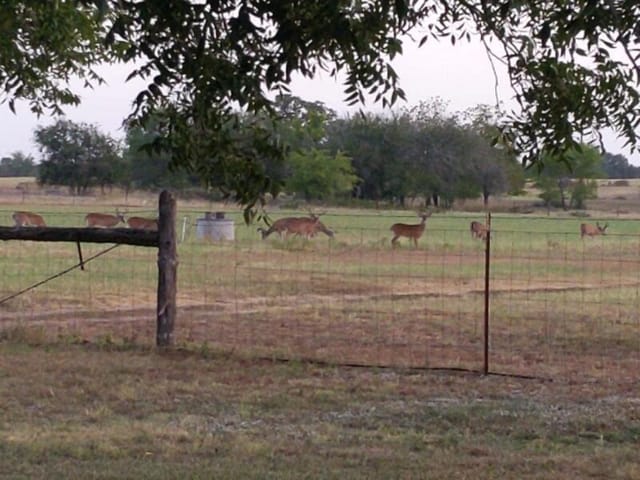 10905 S. FM 1915 FM 1915 Highway