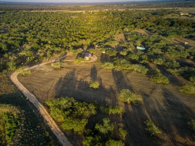 1096 County Road 447