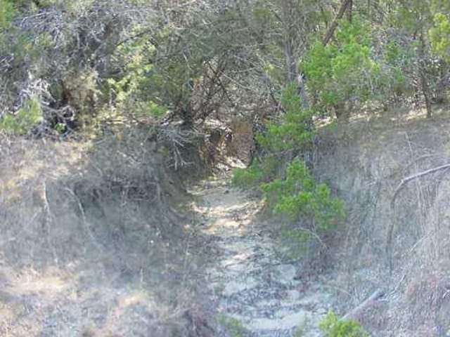 11 Acres - Blanco