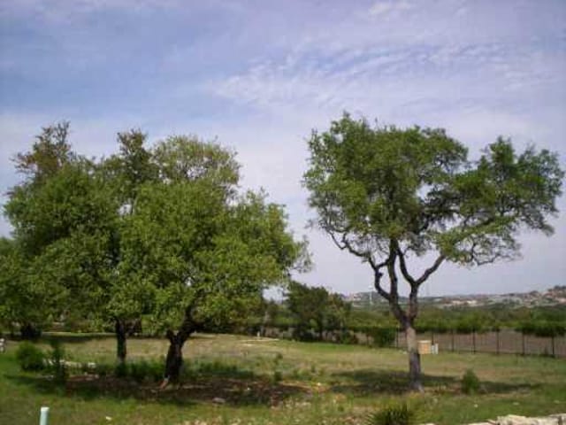 11 Hightrail WAY