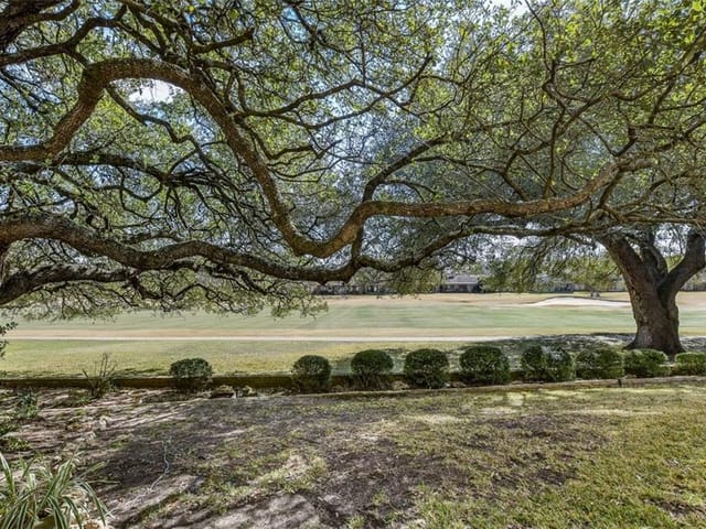 11003 Onion Creek Ct