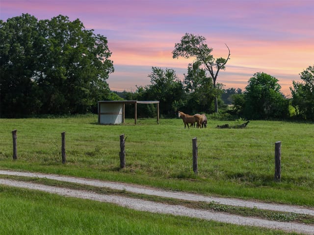 11043 County Road 336
