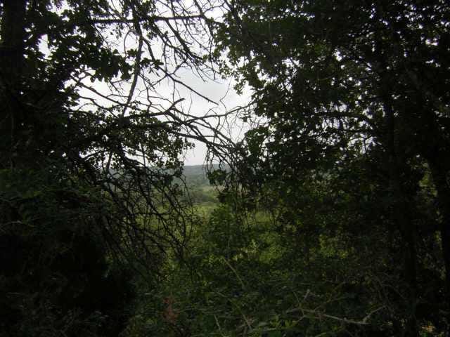 111 Post Oak Rim