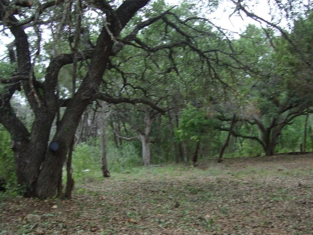 11112, 11106 Travis Dr