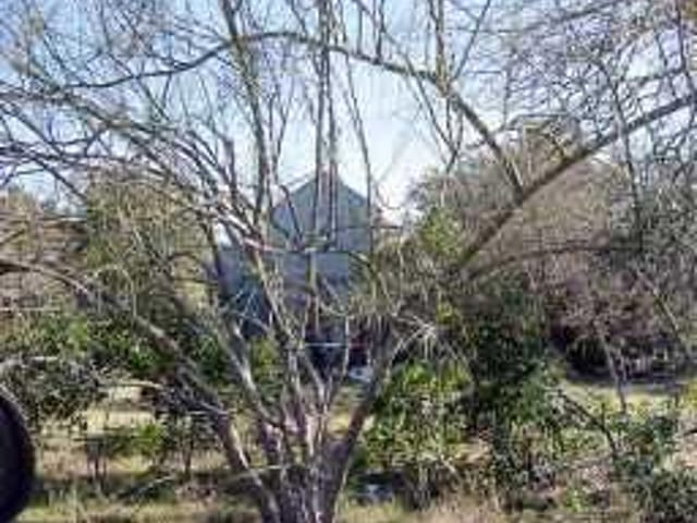 1119 RED BUD TRL