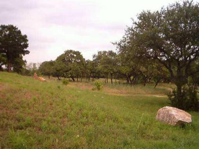 113 KOLLMEYER CIR