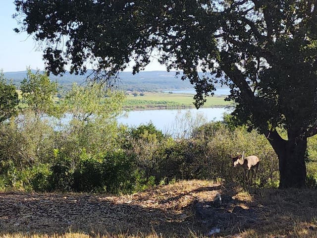 113 (Lot 3B) Hill Loop