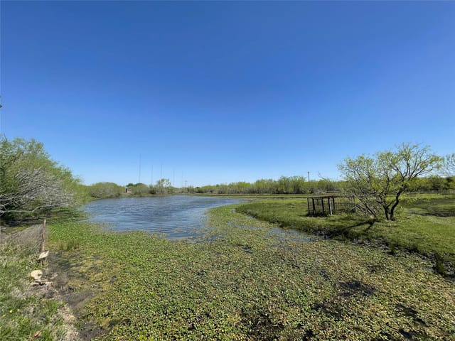 11319 Doyle Overton Rd