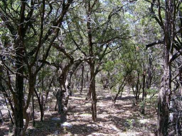 11335 Rim Rock TRL
