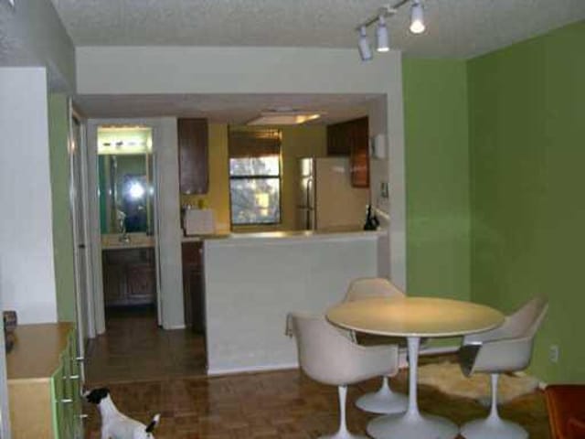 1135 Barton Hills Dr Unit #241