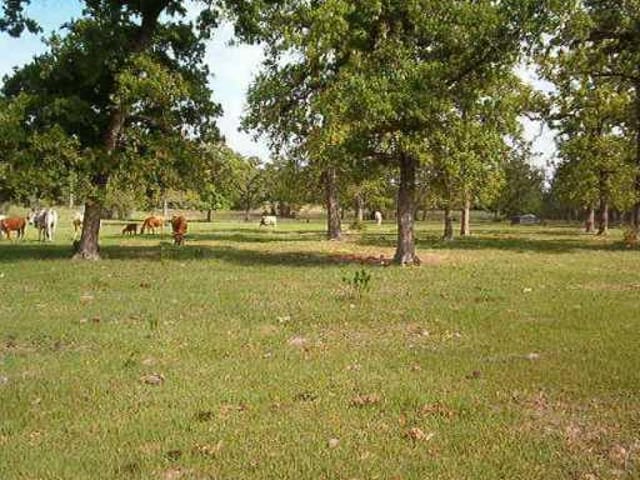 1142 Private Road 7019