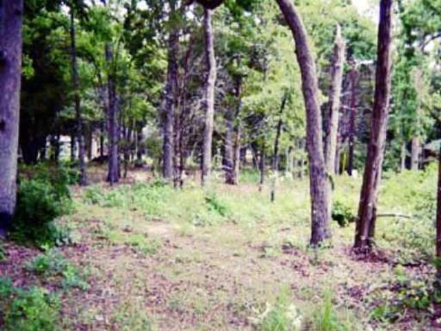 115 TANGLEWOOD TRL
