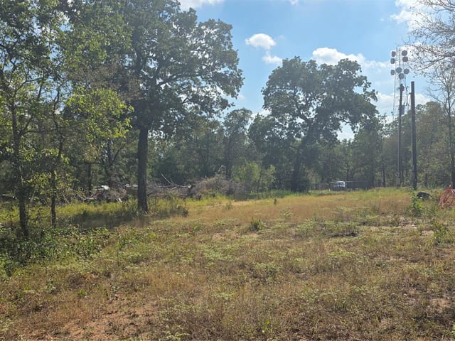 116 Red Oaks Dr