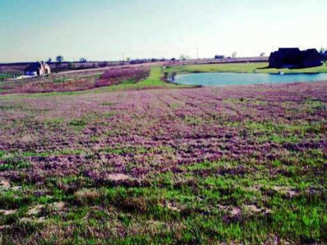 117 LOOKOUT CIR