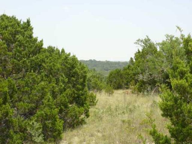 11708 Musket Rim