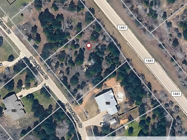 119 S Buckhorn DR