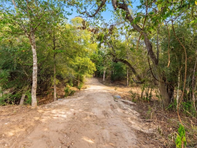 12 Acres Mt. Pleasant