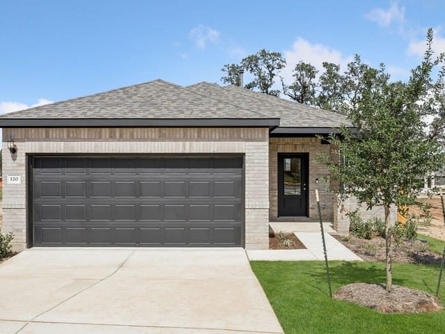 120 Blackfoot Daisy PATH