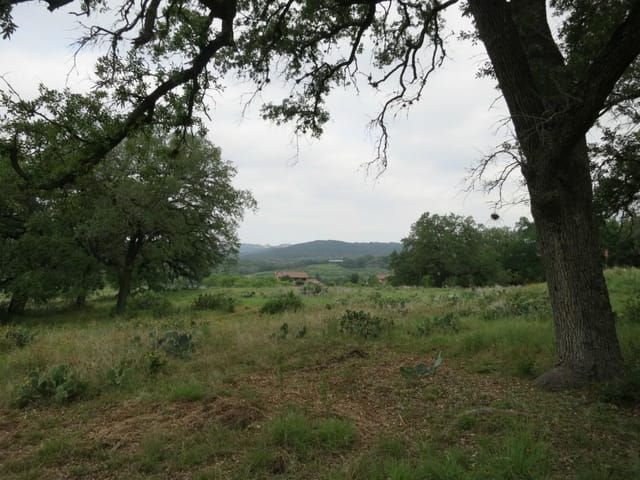 1212 Shore Vista Cv