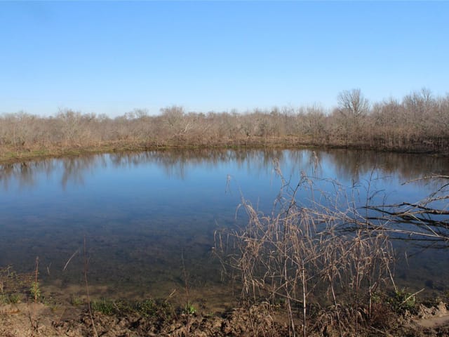 1223 County Road 429