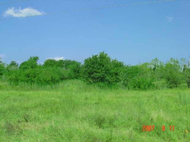 123 Quail TRL