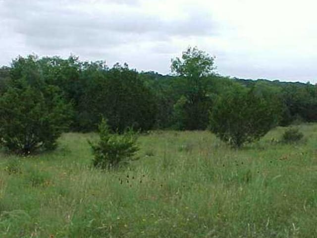 1234 Red Bluff DR