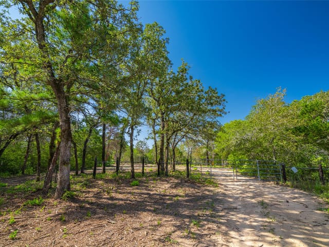 1247 Sand Hills Road