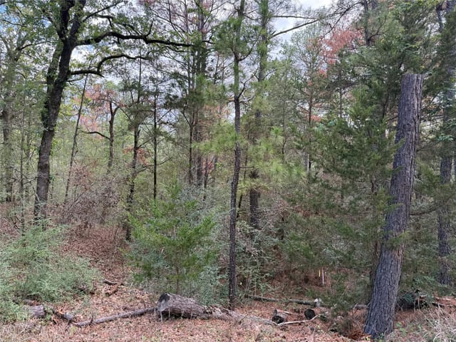 125 Lamaloa LN