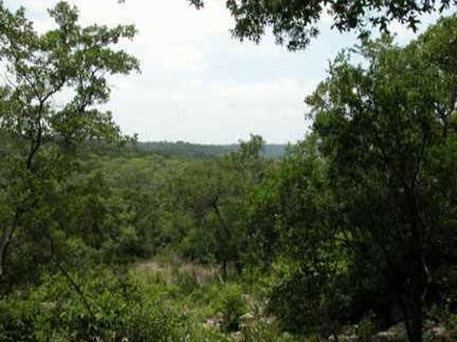 12503 Painted Bunting DR