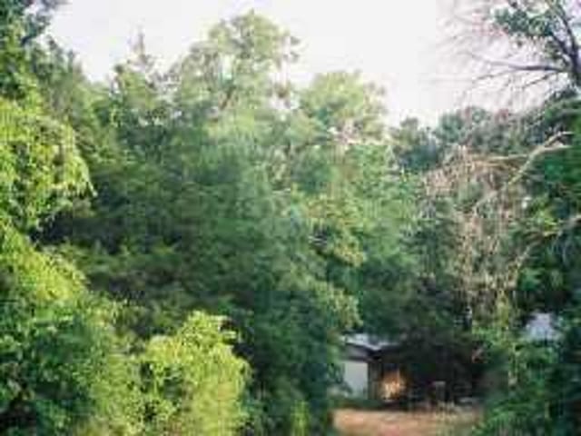129 Chickasaw