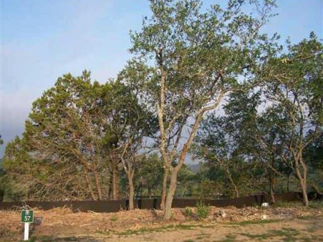 13001 Zen Gardens WAY