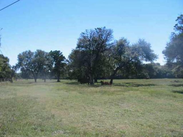 13006 Madrone A