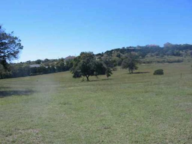 13006 Madrone B