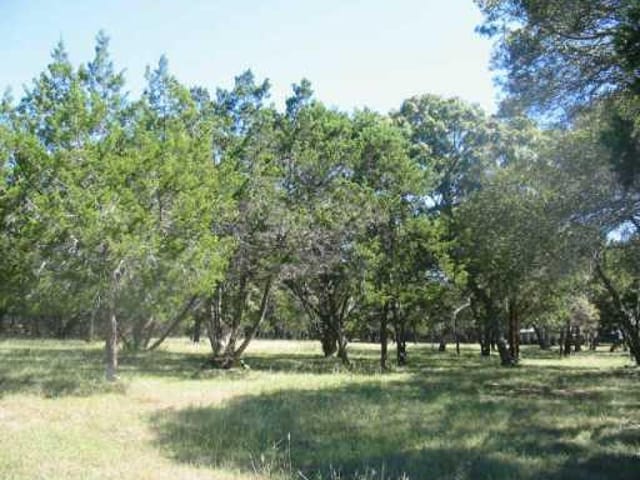 13006 madrone