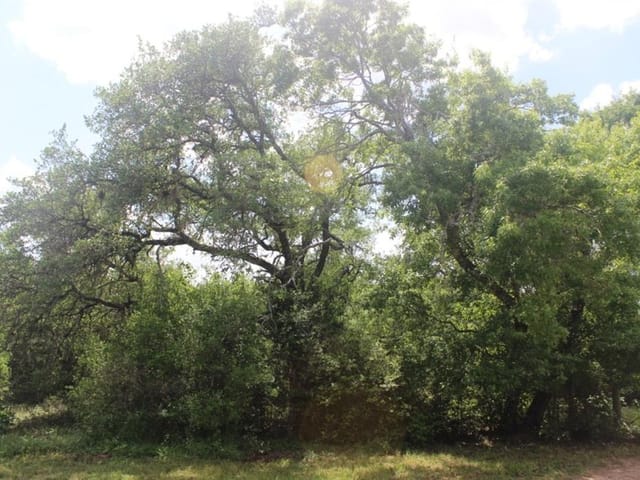 13020 S Madrone Trl