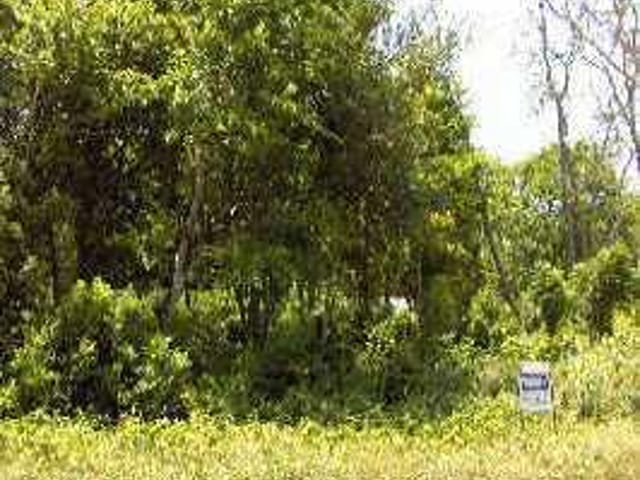 1309 Green