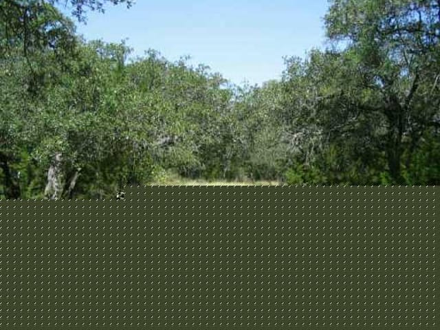 131 WOODLAND TRL