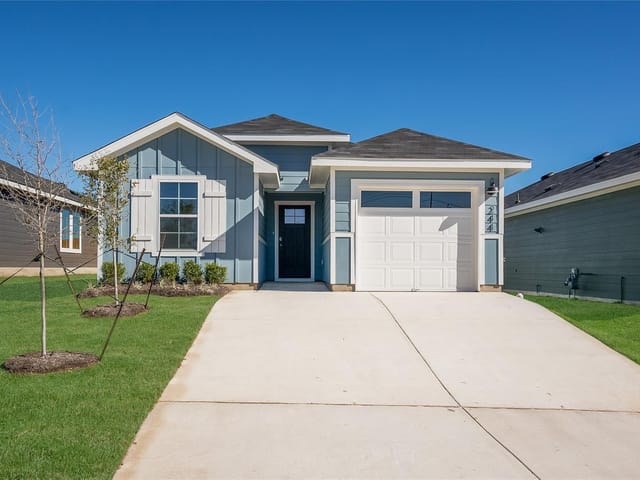 132 Celosia Loop