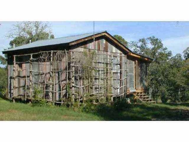 135 Pine CYN
