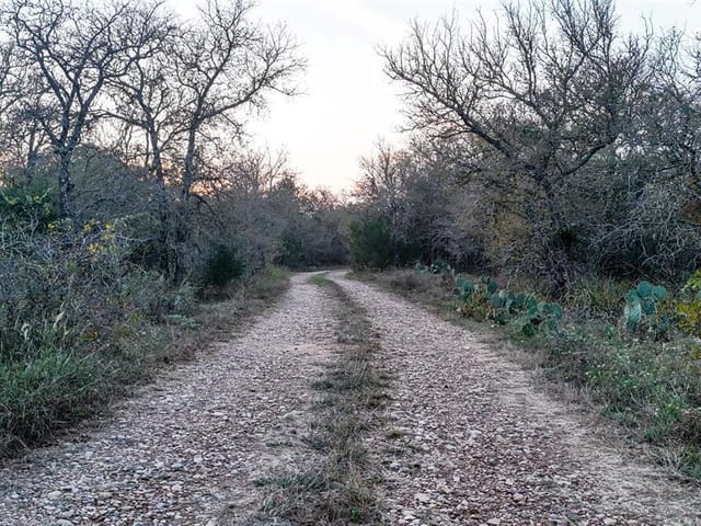 137 Shady Oaks Loop