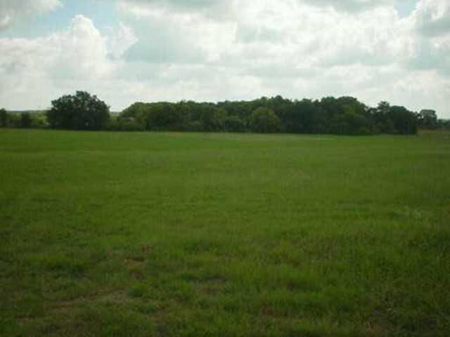 1395 FM 1704