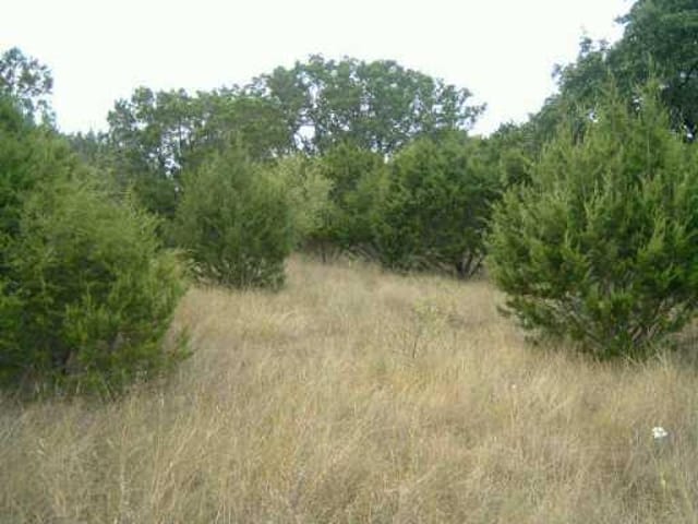 1407 Ponderosa BND