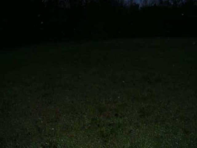 141 Lookout RD