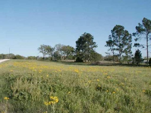 1417 Fm 1704