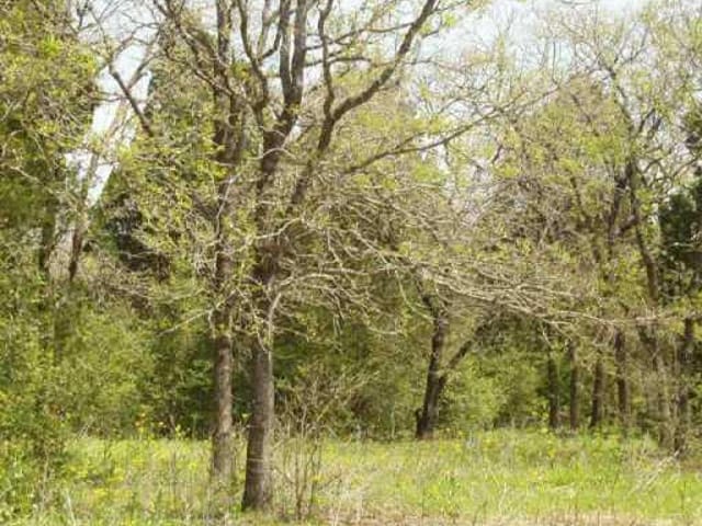 142 Wayside DR