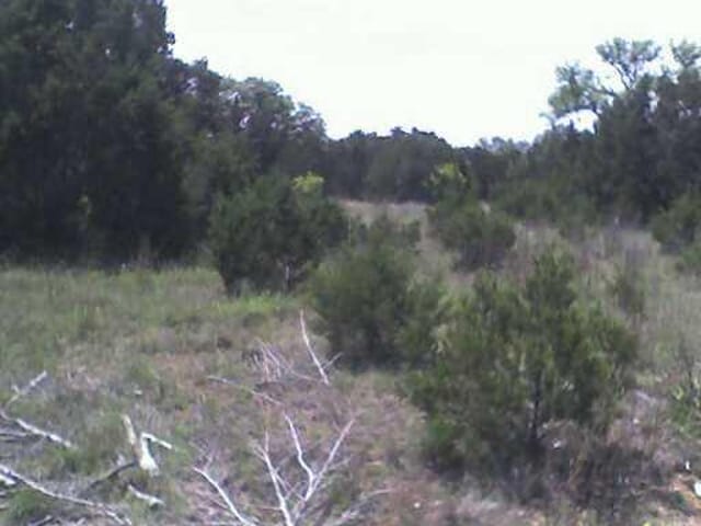 14208 Green Hills LOOP