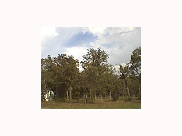 143 Spanish Oak TRL