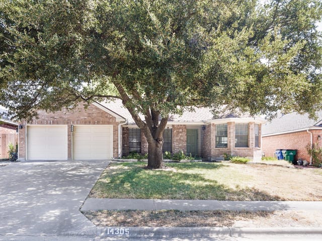 14305 Terisu LN