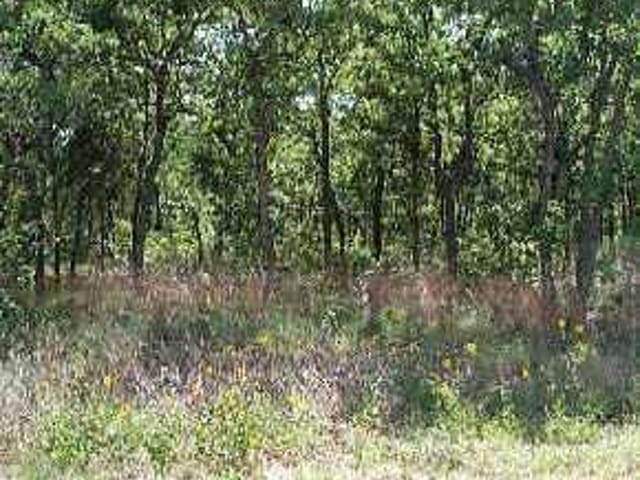 148 Spanish Oak TRL