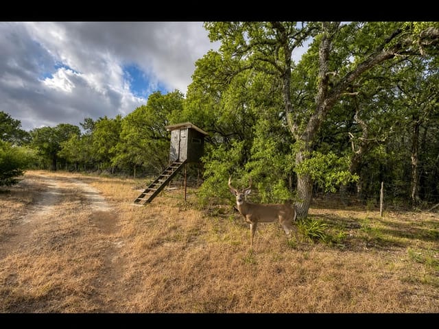 149 County Road 103